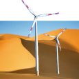 Windsterben und Dürreperioden durch Windkraft